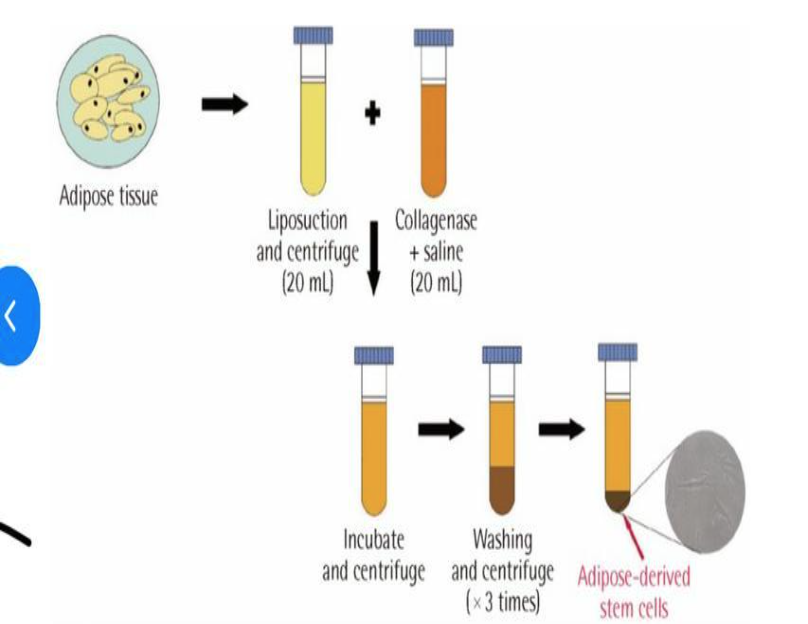 Screenshot 2025 11 19 at 12.13.45